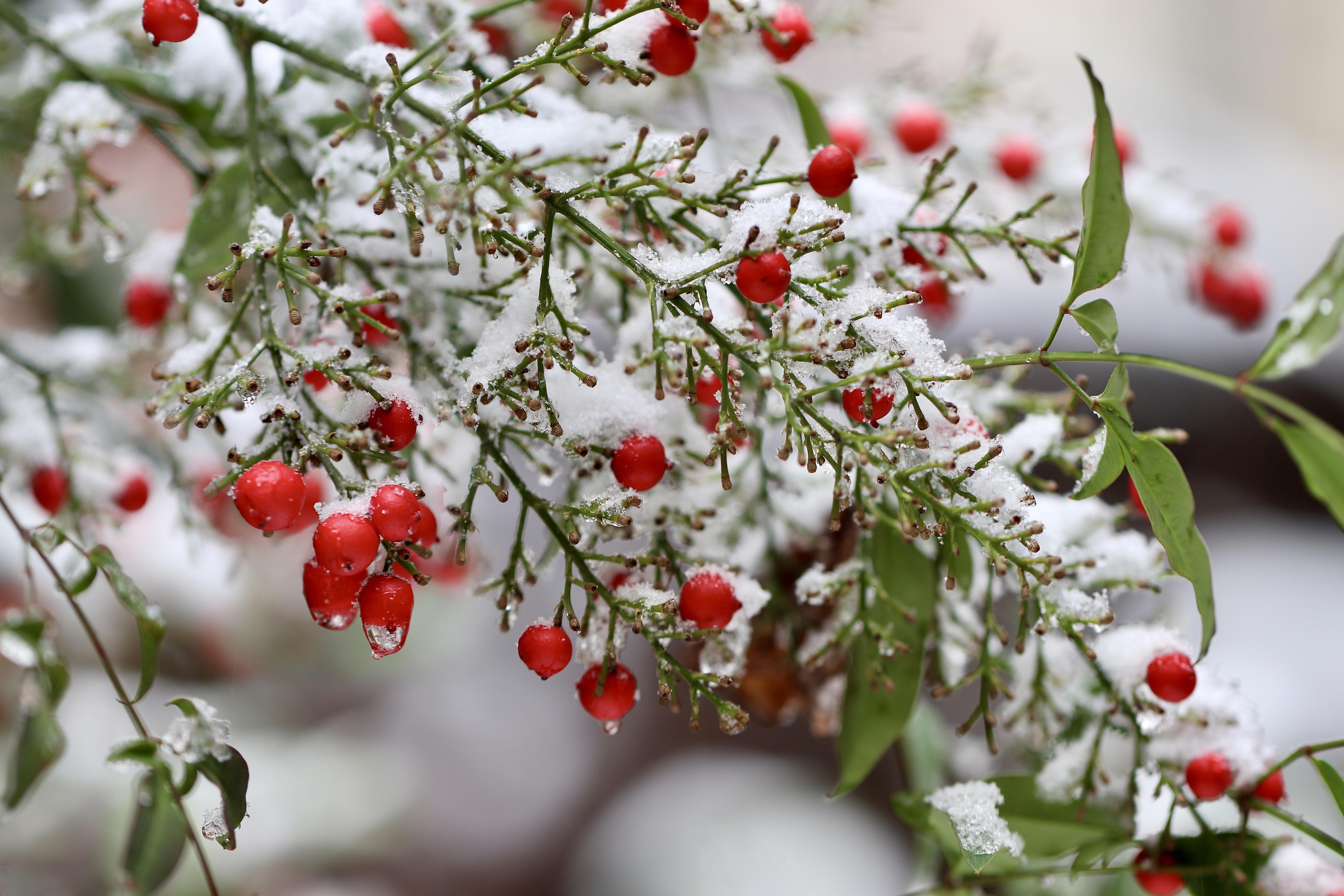 Winter Curb Appeal Tips to Sell Your Waupun Home