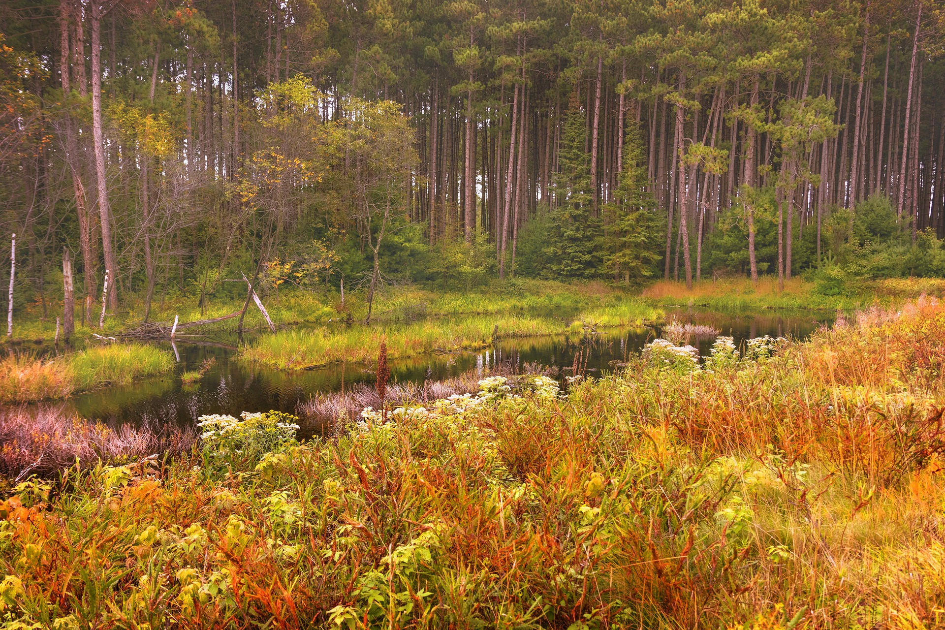 Tips for Buying Land to Build Your Dream Home
